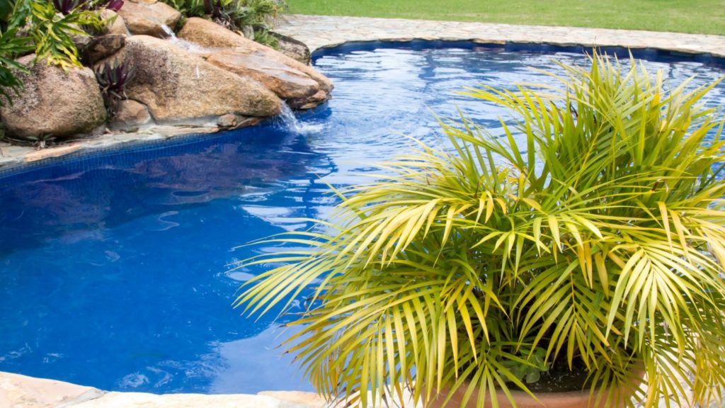 Make Use of Potted Plants in Pool Landscaping